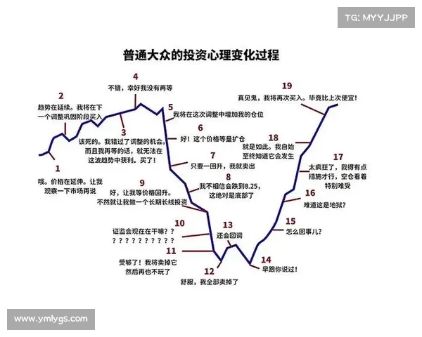 精准布局的四大关键要素及其在实际应用中的策略与影响分析 精准布局的四大关键要素及其在实际应用中的策略与影响分析