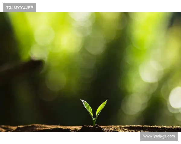 在日常平凡中发现深层价值与自我成长的有意义生活探索