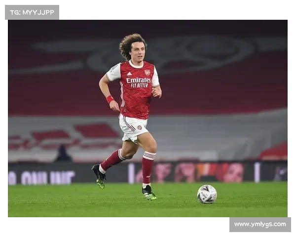 大卫路易斯在足球场上主要担任何种位置？