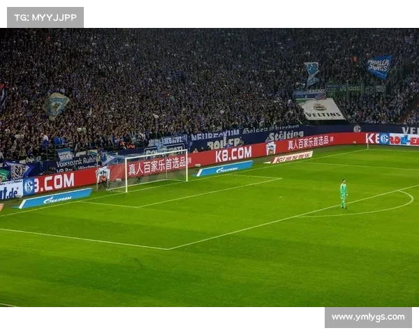 法尔范在沙尔克04的踢球位置与战术作用深度解析