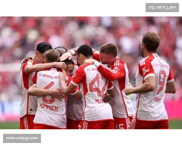 德甲新势力崛起：超越拜仁的球队崛起